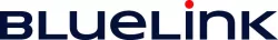 BlueLink International CZ