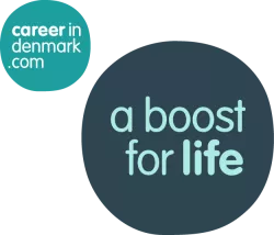 Career in Denmark