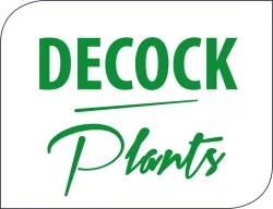 Decock Plants