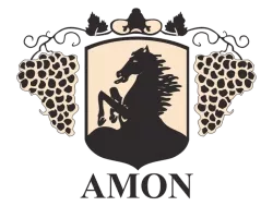 AMON d.o.o.