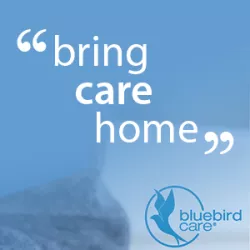 Bluebirdcare Limerick