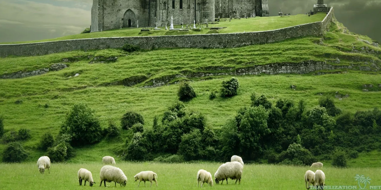 Ireland new EURES Office and colleagues